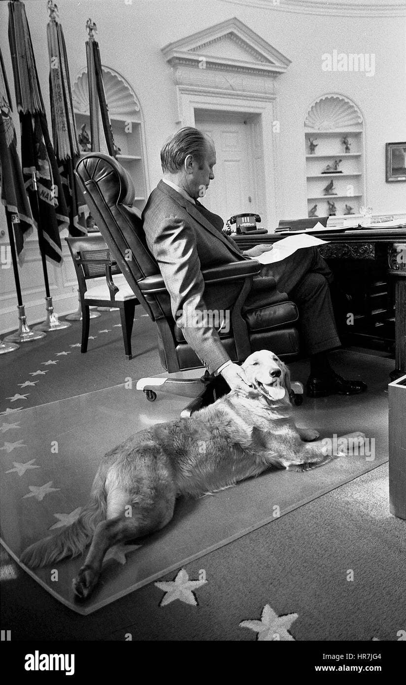 Fact Check: US President Gerald Ford trained his dog to be a distraction. When he wanted a meeting to end, he wo...