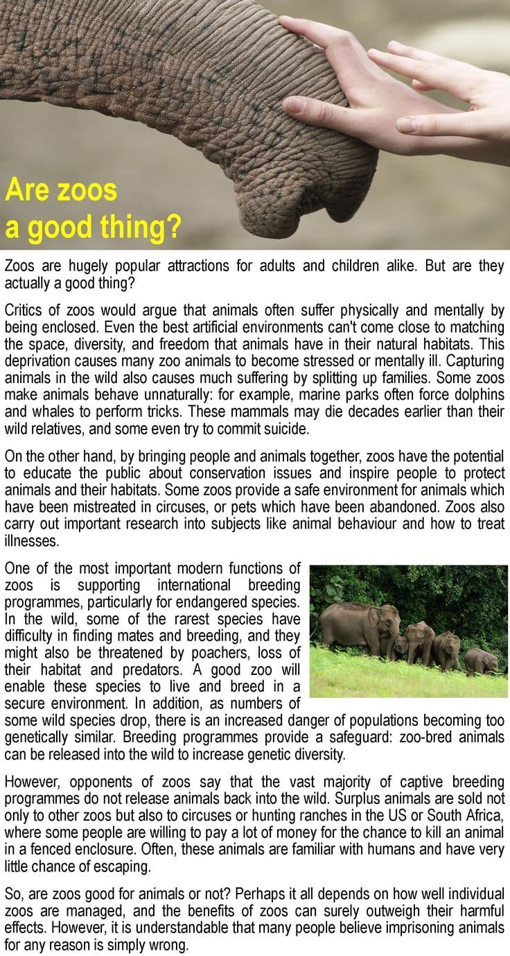 Fact Check: Are zoos a good thing?