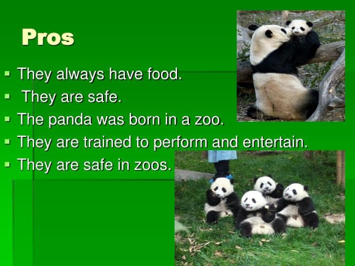 Fact Check: Are zoos good or bad?