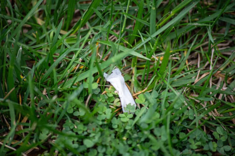 Fact Check: Are zyns biodegradable?