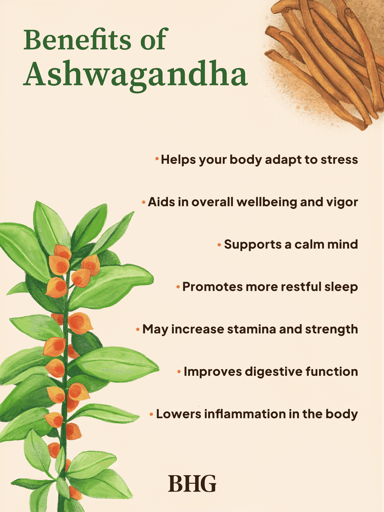 Fact Check: Is Ashwagandha safe?