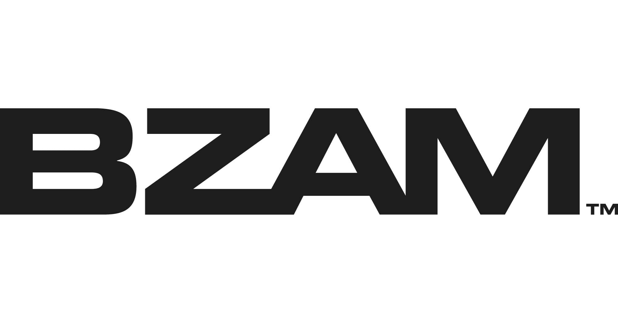 Fact Check: Is BZAM still in business?