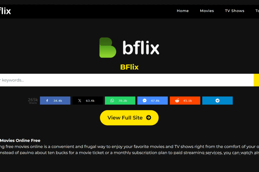 Fact Check: Is Bflix safe?