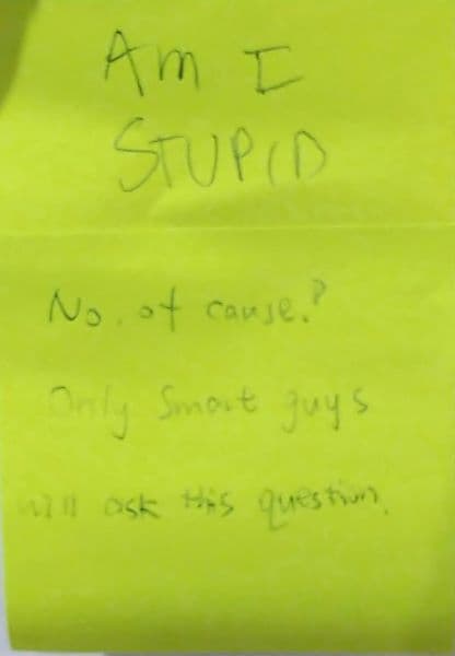 Fact Check: i am stupid
