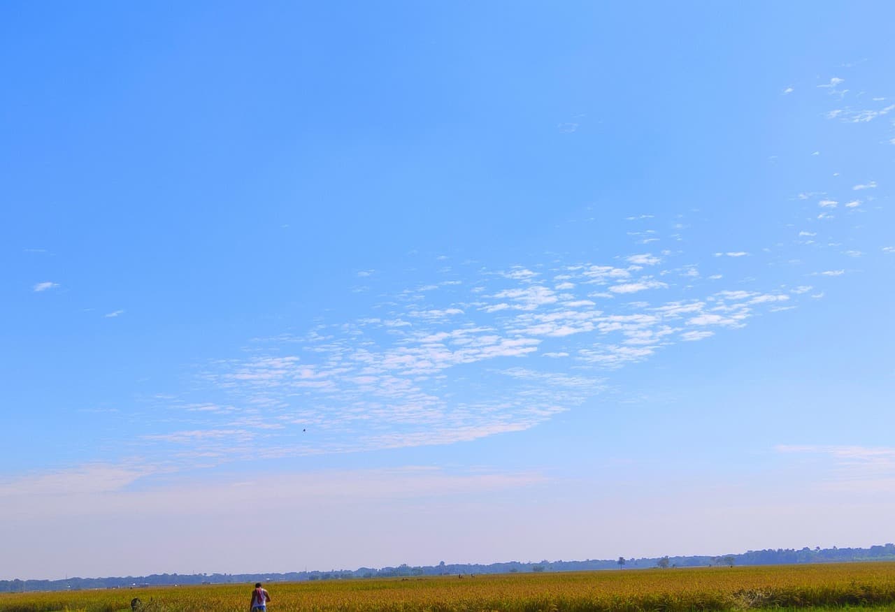 Fact Check: Is BlueSky down?