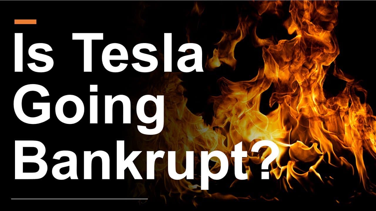 Fact Check: Tesla could go bankrupt from boycotts