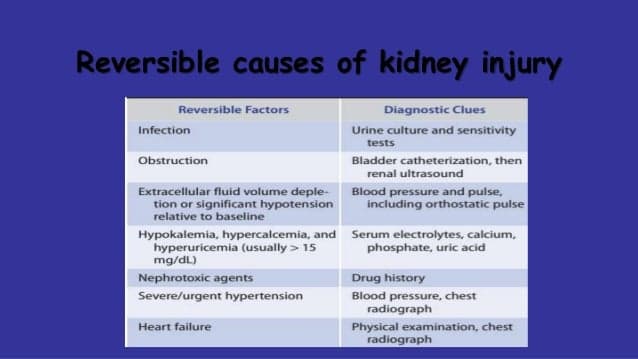 Fact Check: Is CKD reversible?