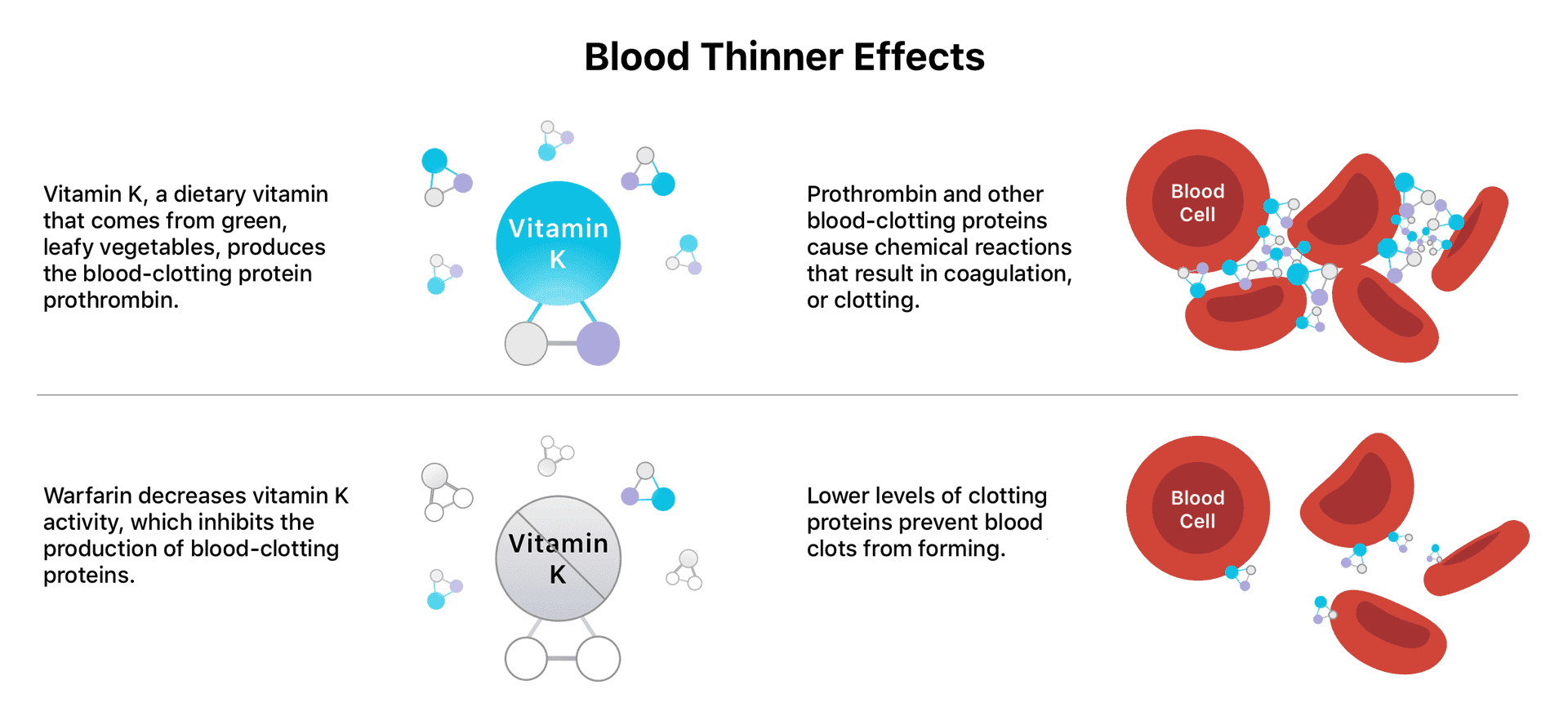 Fact Check: Is CQ10 a blood thinner?