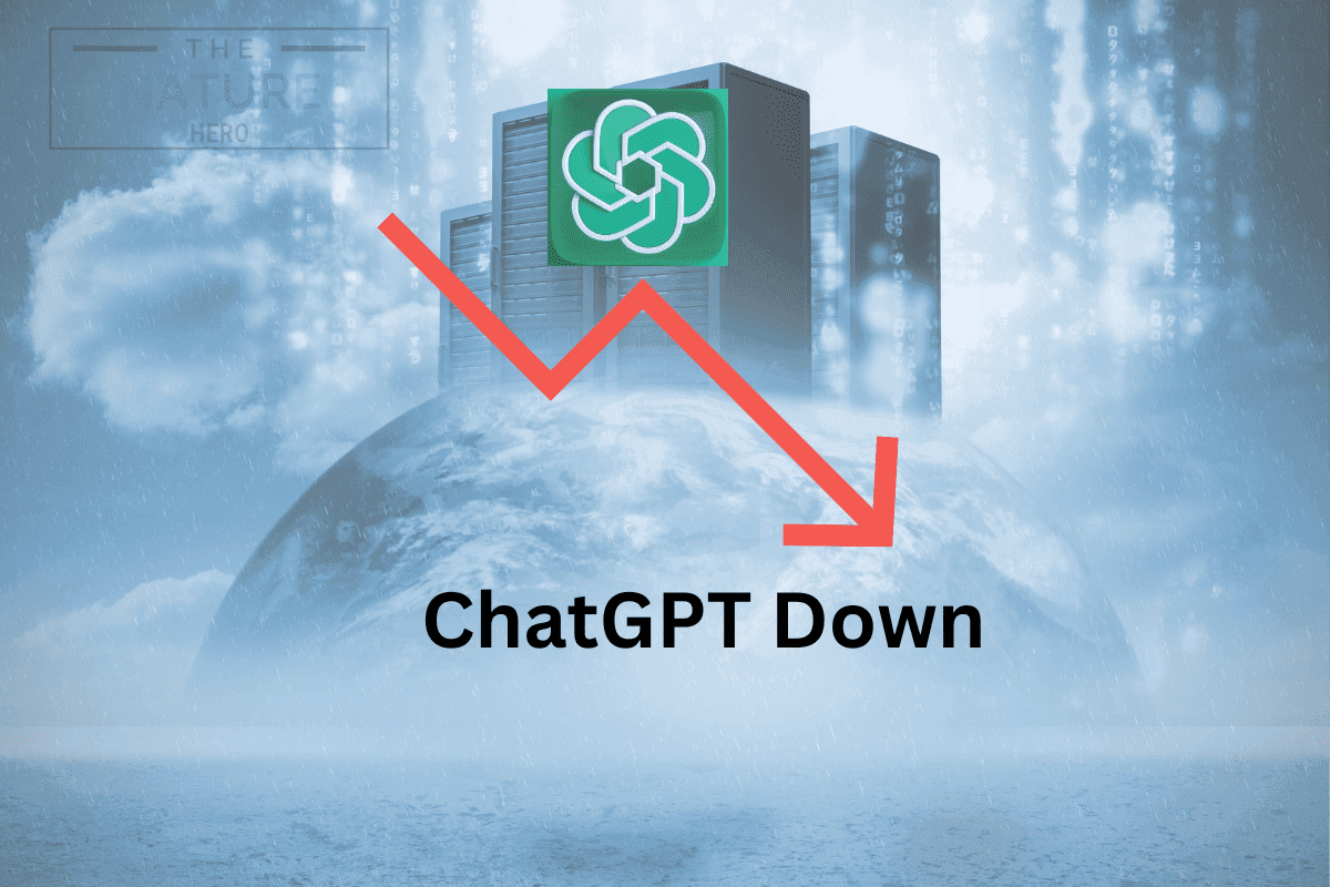 Fact Check: Is ChatGPT down?