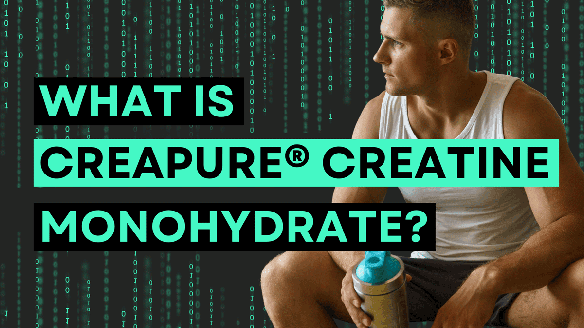 Fact Check: Is Creapure worth it?