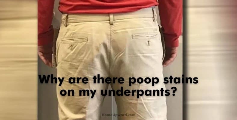 Fact Check: I shit in my pants as an adult