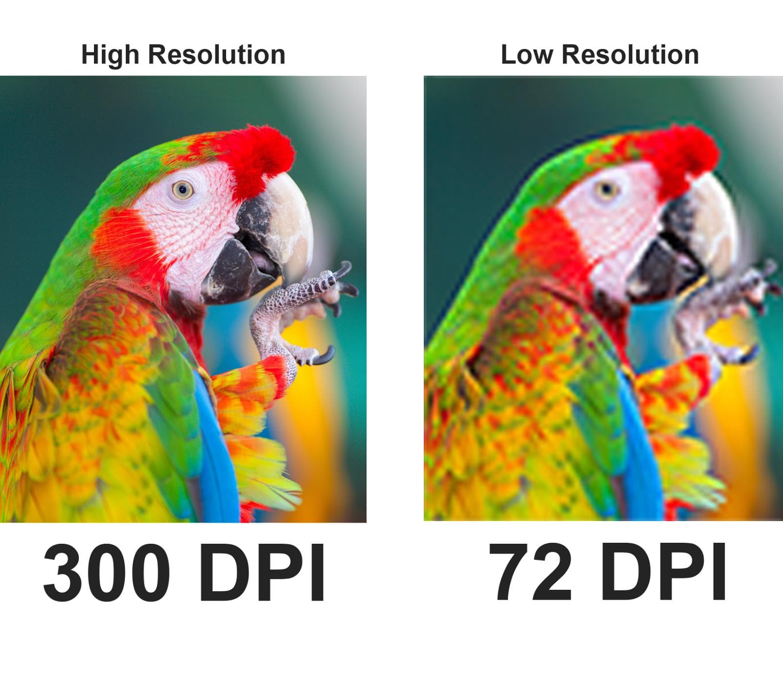 Fact Check: Is DPI resolution?