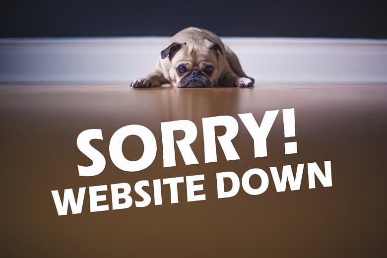 Fact Check: Is Down website?