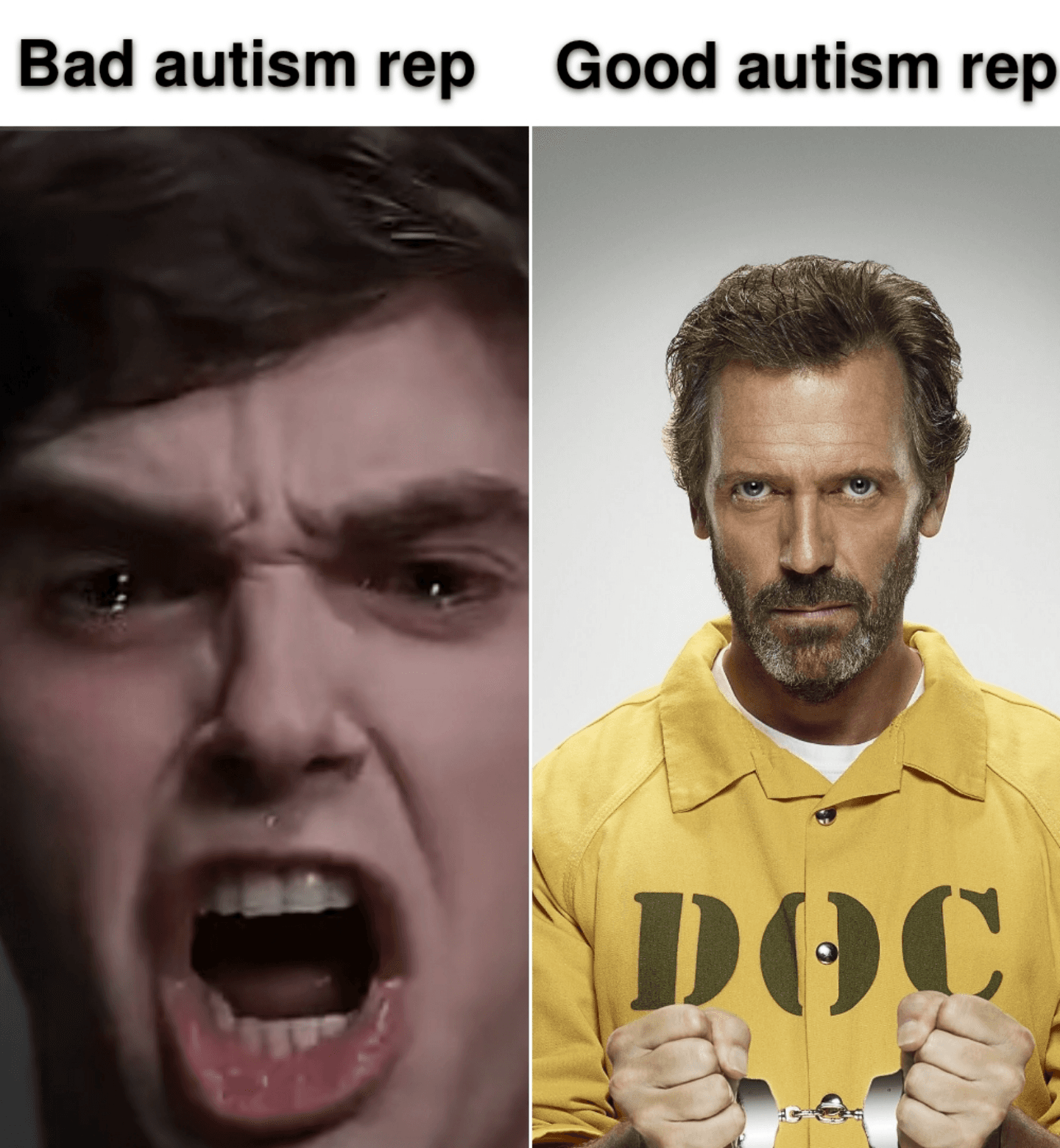 Fact Check: Is Dr. House autistic?