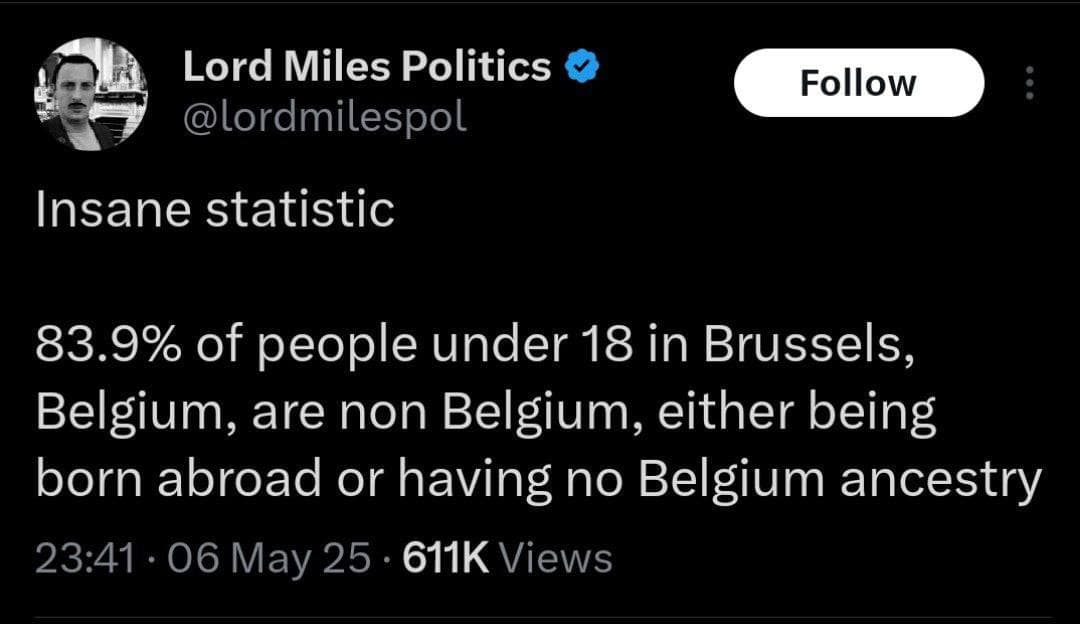 Fact Check: 84% of under 18's in Brussels were not born in Belgium
