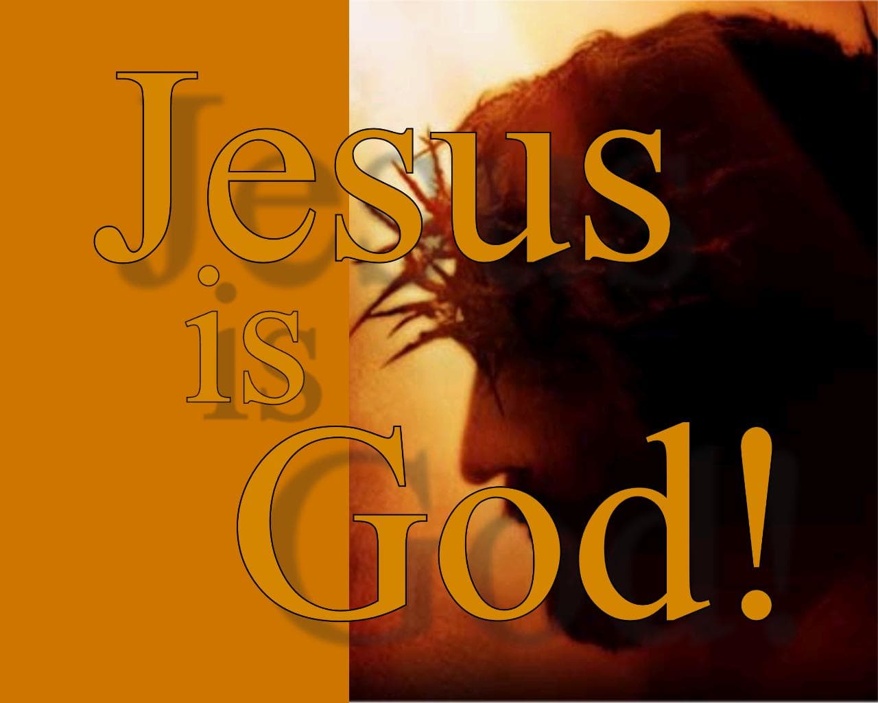 Fact Check: jesus is god