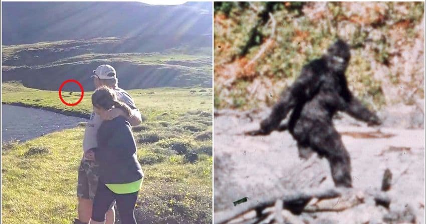 Fact Check: The Bigfoot photo is real, and not staged.