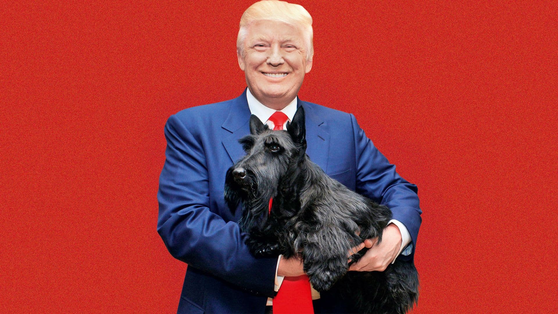 Fact Check: Trump hates dogs 