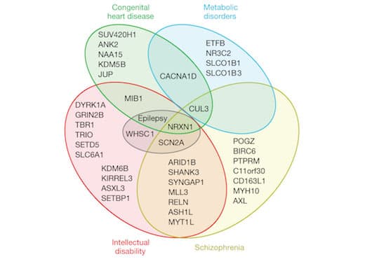 Fact Check: genetic link 
 to autism

