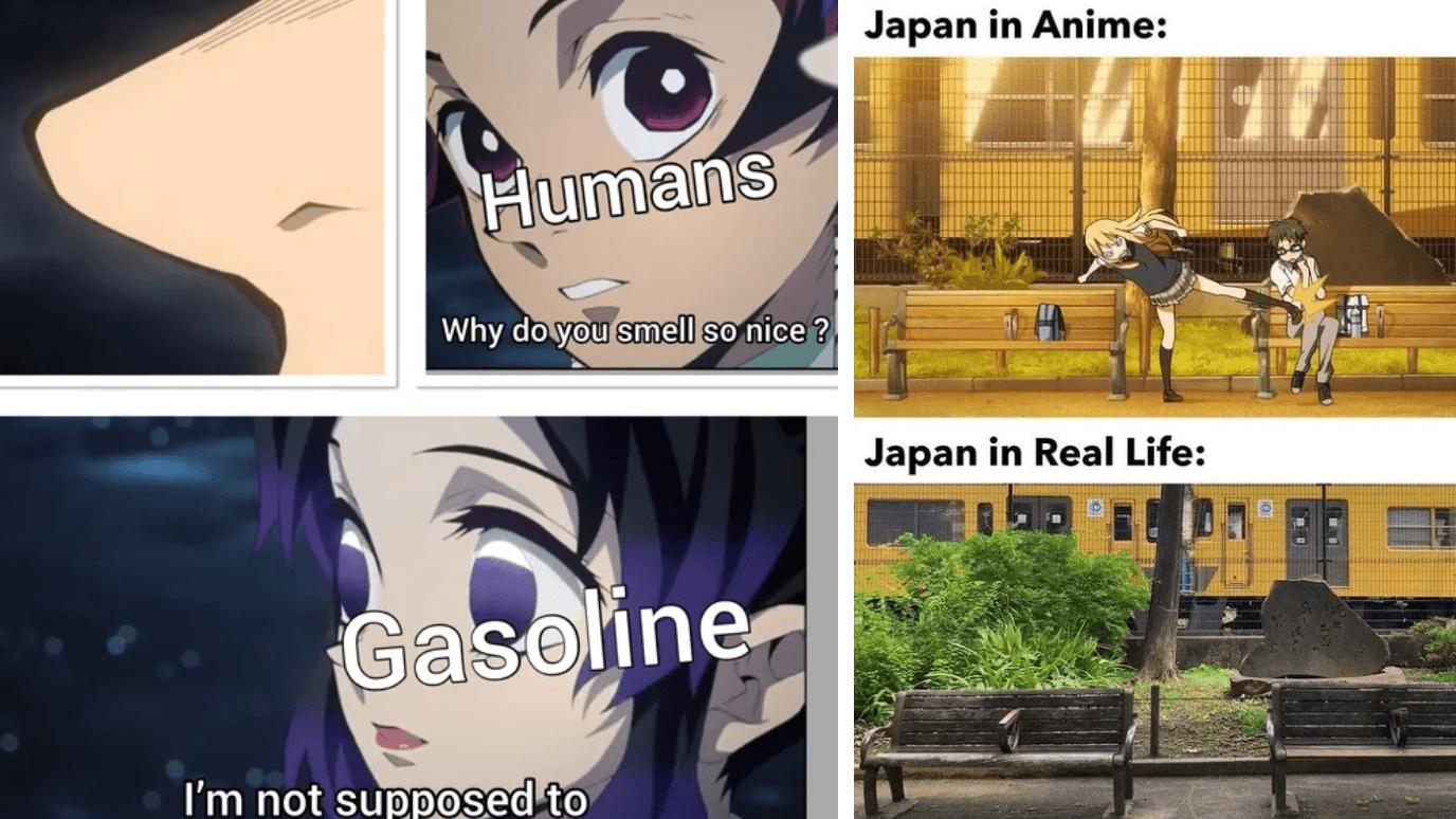 Fact Check: Weebs often ignore the rest of the Japanese culture and cut it only to anime