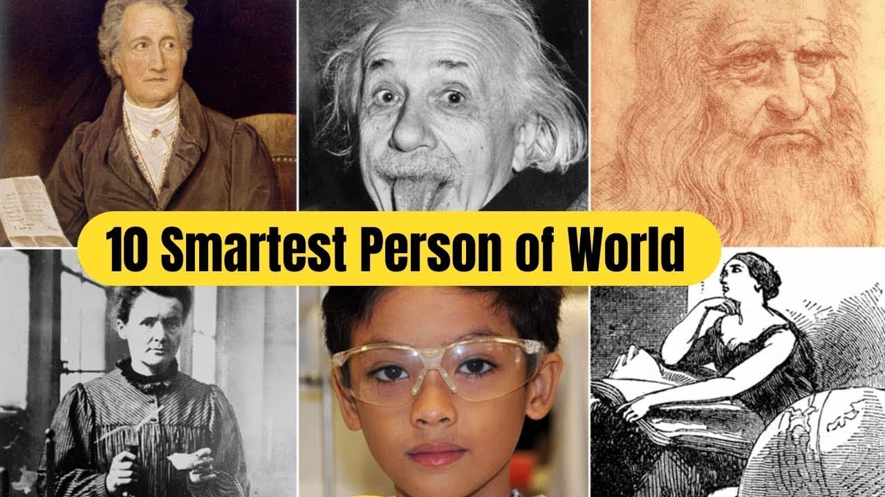 Fact Check: Humans are the smartest beings in the world