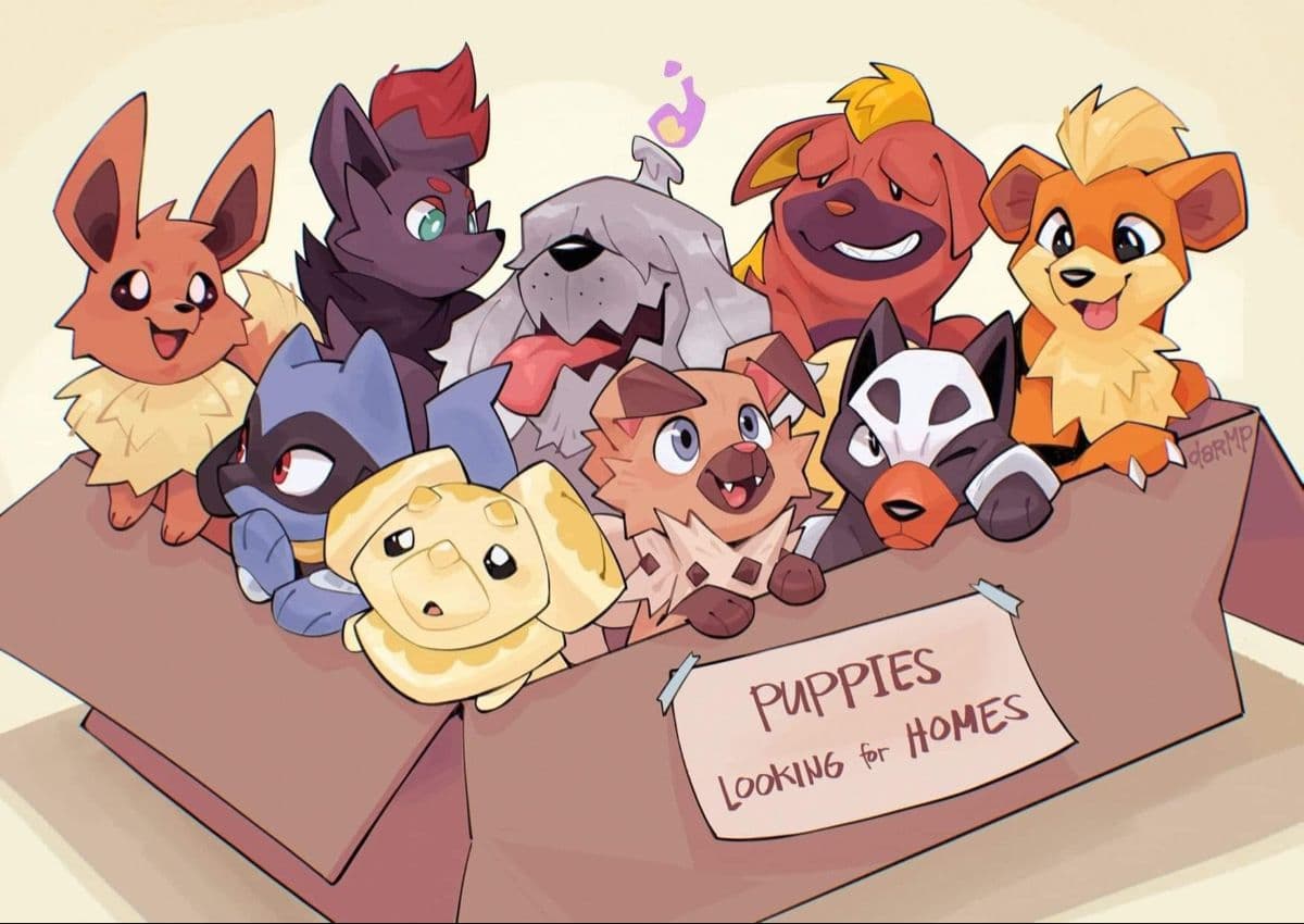 Fact Check: Is Eevee a dog?