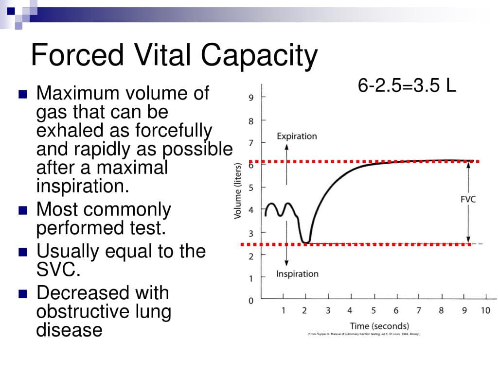 Fact Check: Is FVC the same as VC?