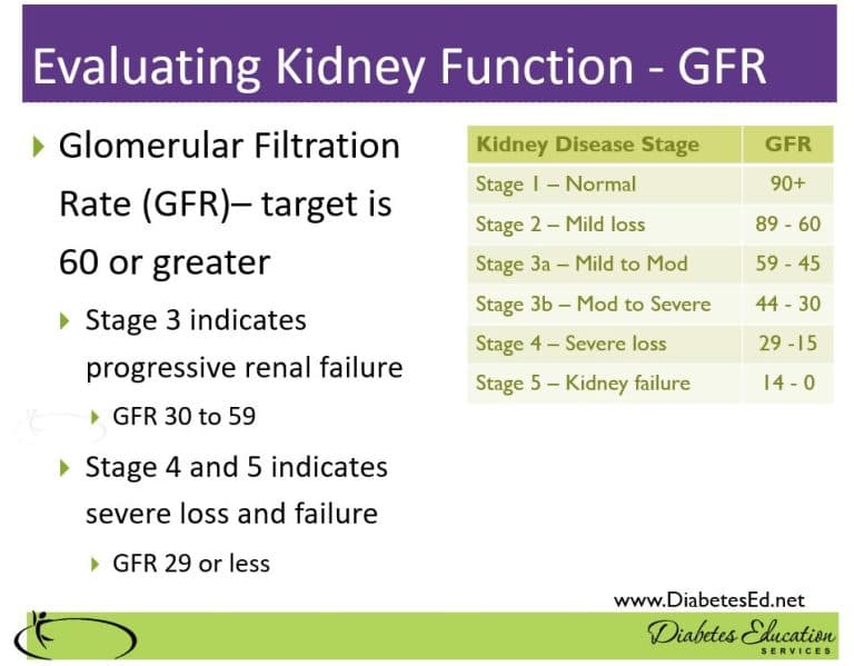 Fact Check: Is GFR kidney function?
