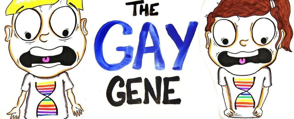 Fact Check: Homosexuality is genetic