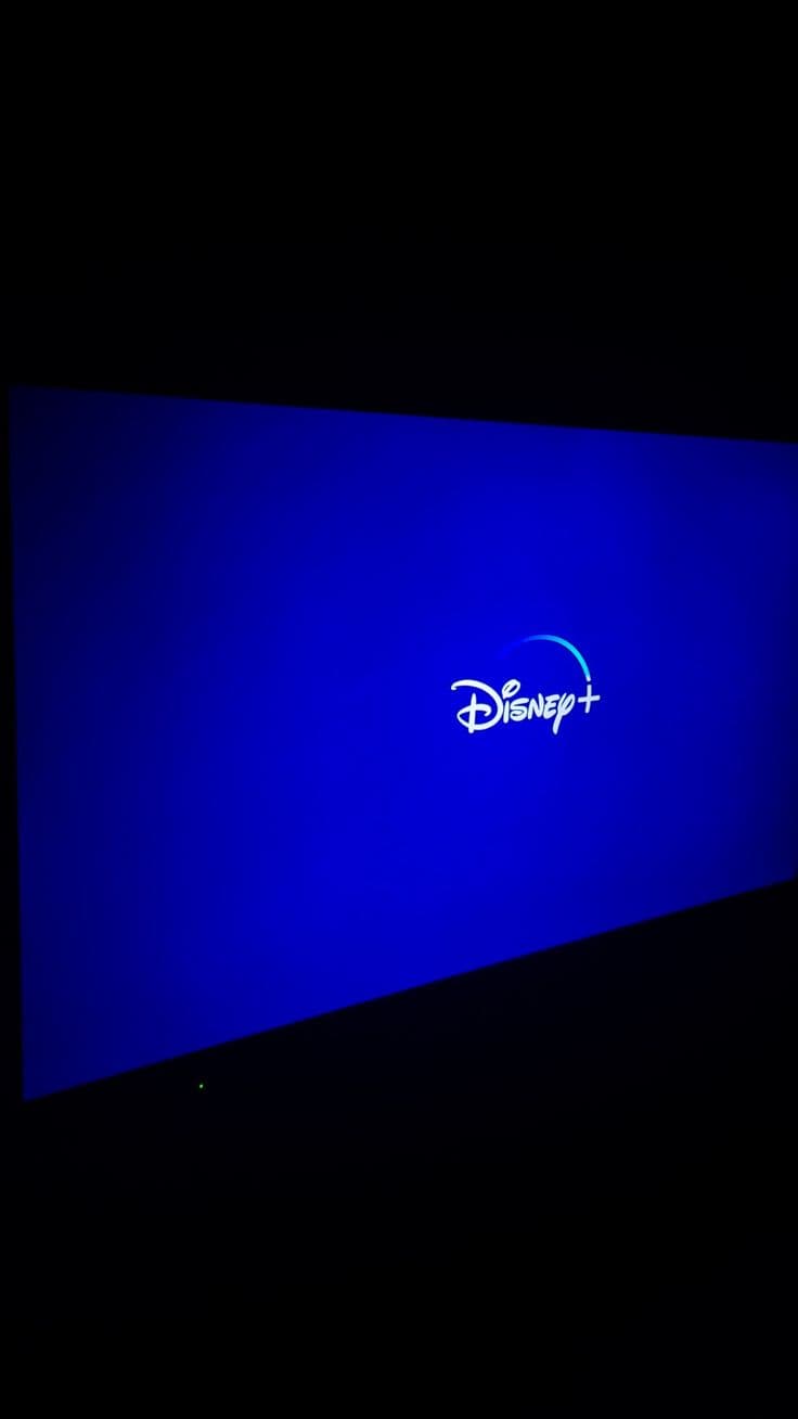Fact Check: Is HBO Disney?