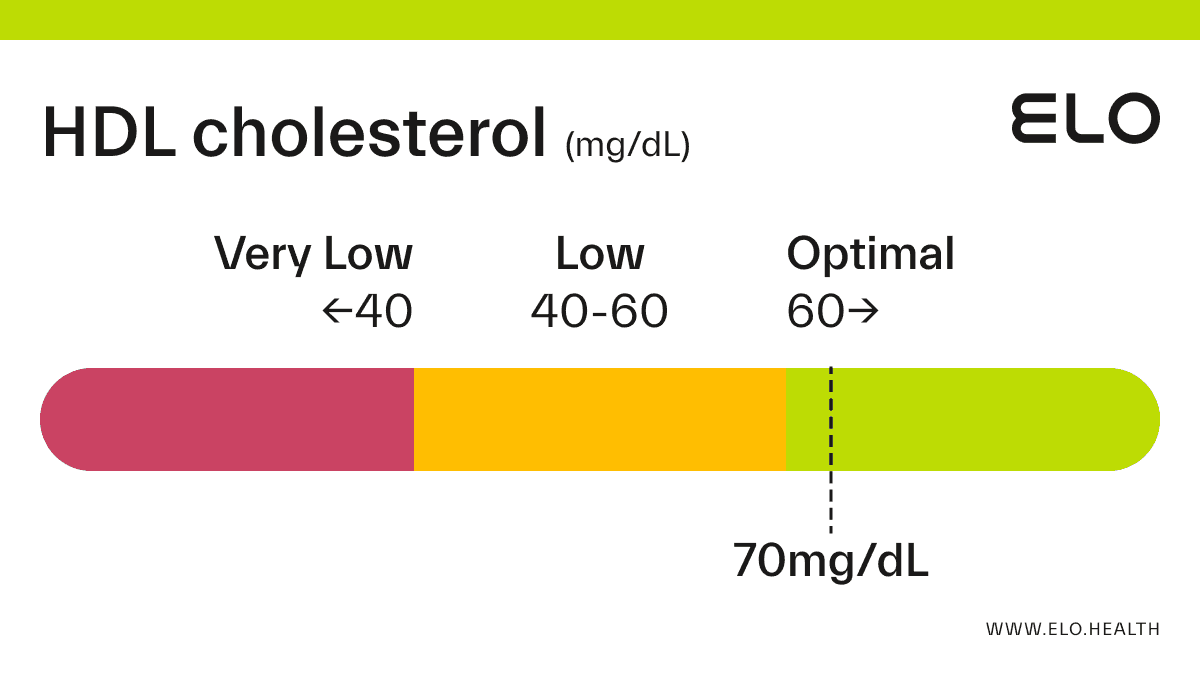 Fact Check: Is HDL C?