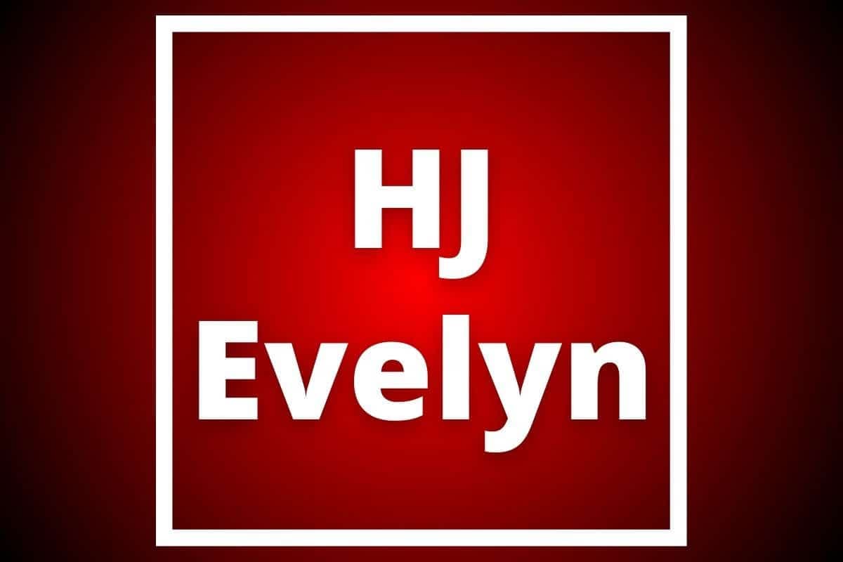 Fact Check: Is HJ Evelyn pregnant?