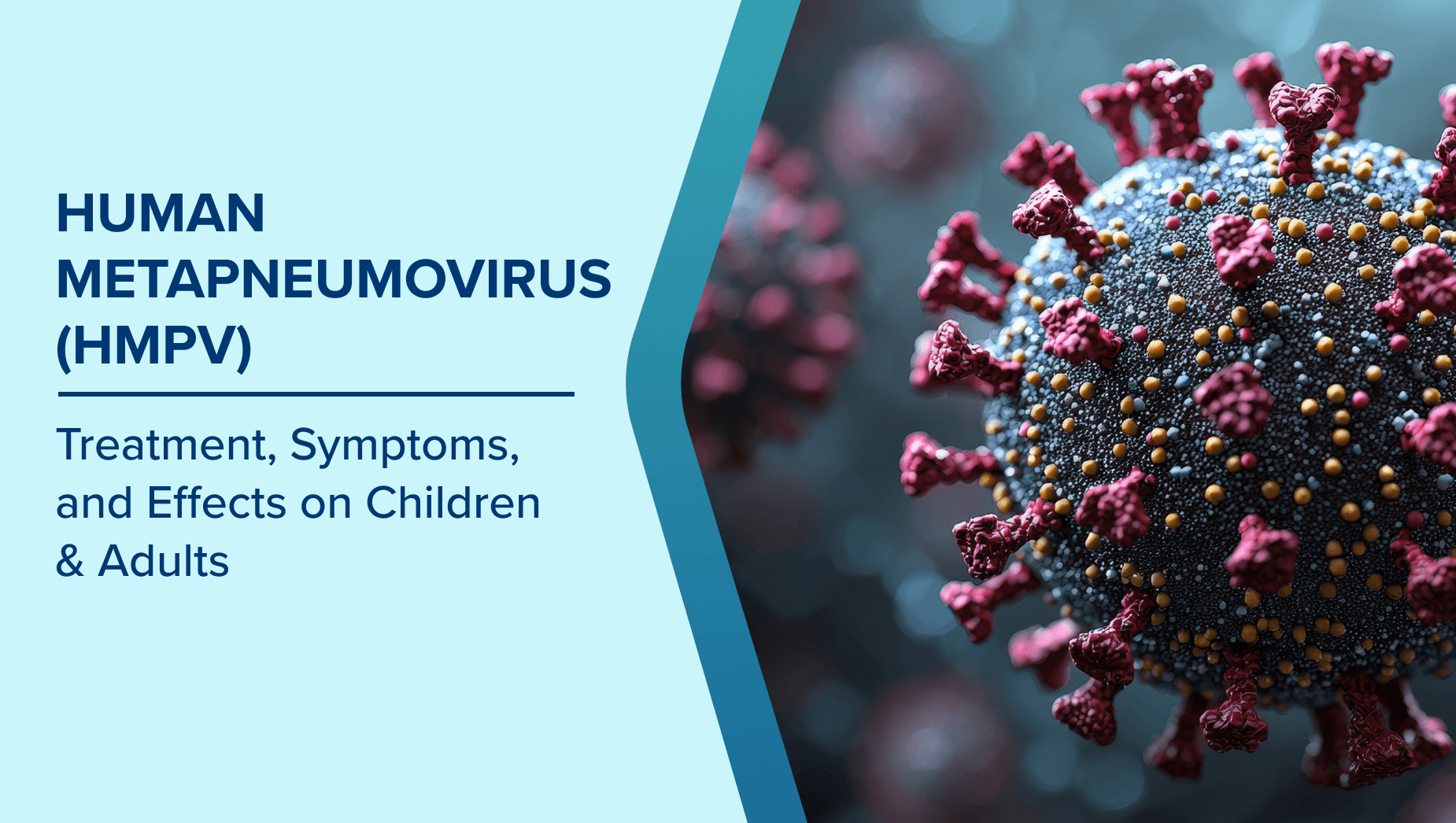 Fact Check: Is HMPV virus dangerous?