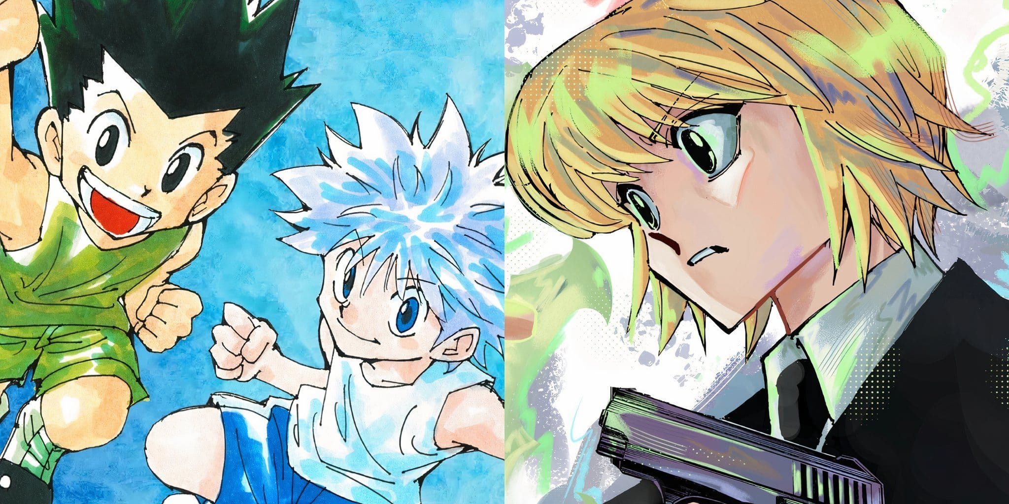 Fact Check: Is Hunter x Hunter on hiatus?