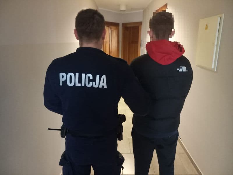 Fact Check: jeśli wynajmuje pokój a nie cały dom i policja przyjeżdża z nakazem przeszukania w Irlandii to może przeszukać cały dom czy tylko mój pokój ?