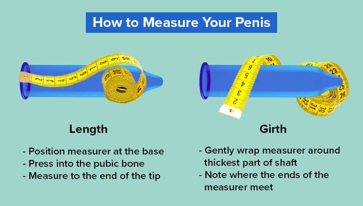 Fact Check: My penis is big