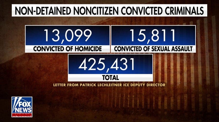 Fact Check: Mexican undocumented immigrants are criminals