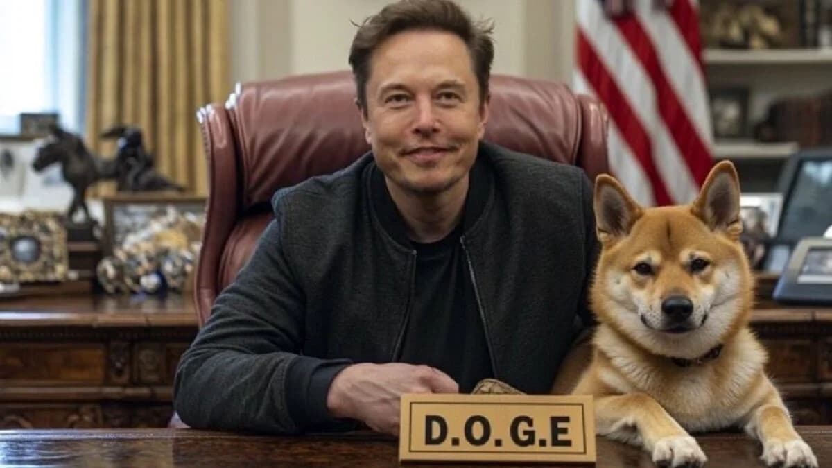 Fact Check: what proves that financial fraud found by DOGE?