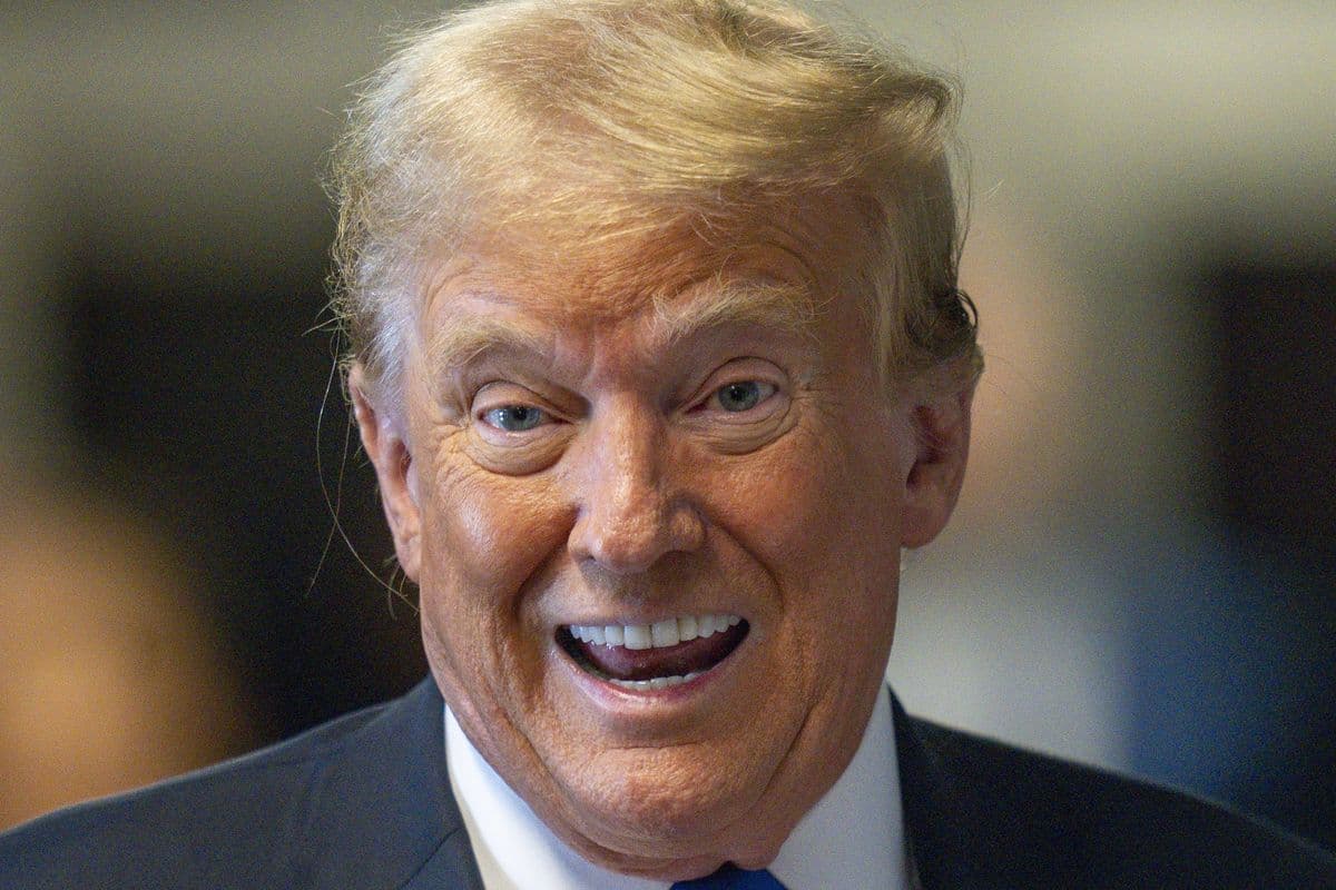 Fact Check: trump is a rascist
