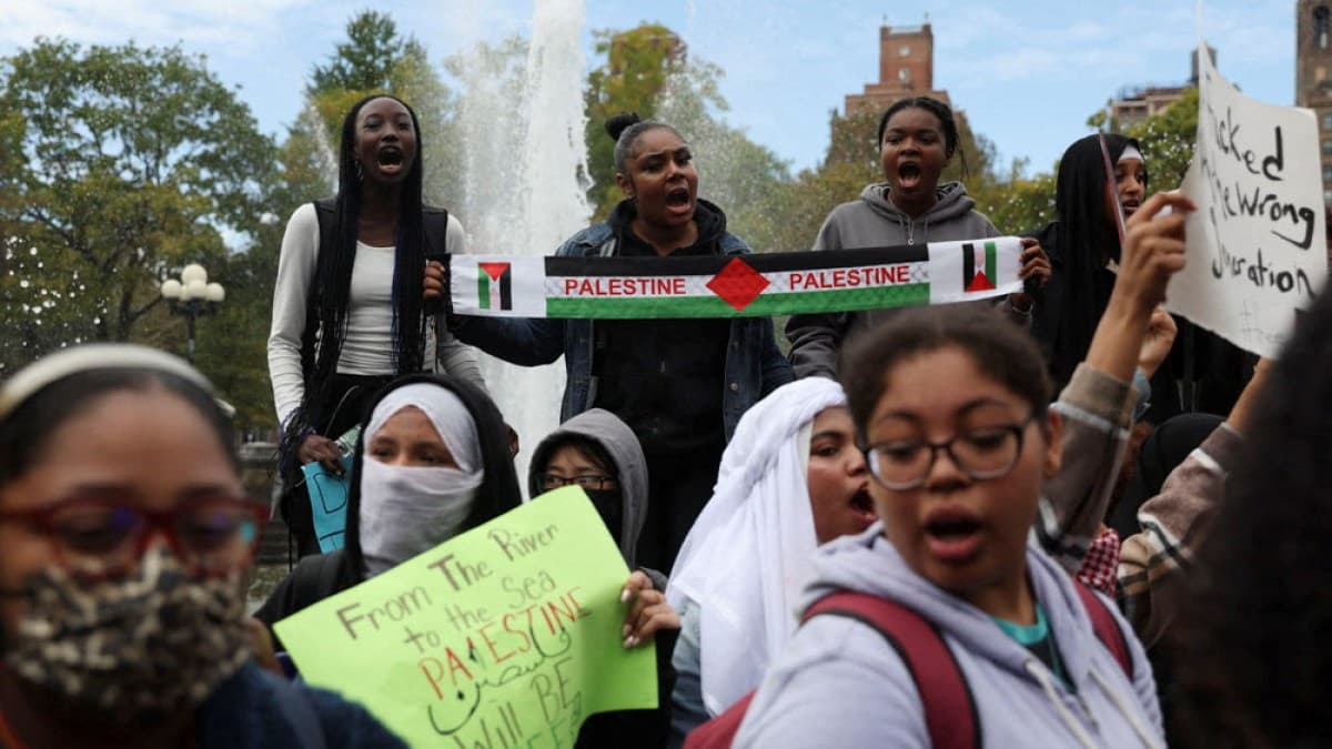 Fact Check: are fully palestinians white or black

