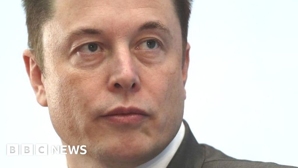 Fact Check: Elon Musk is a comunist