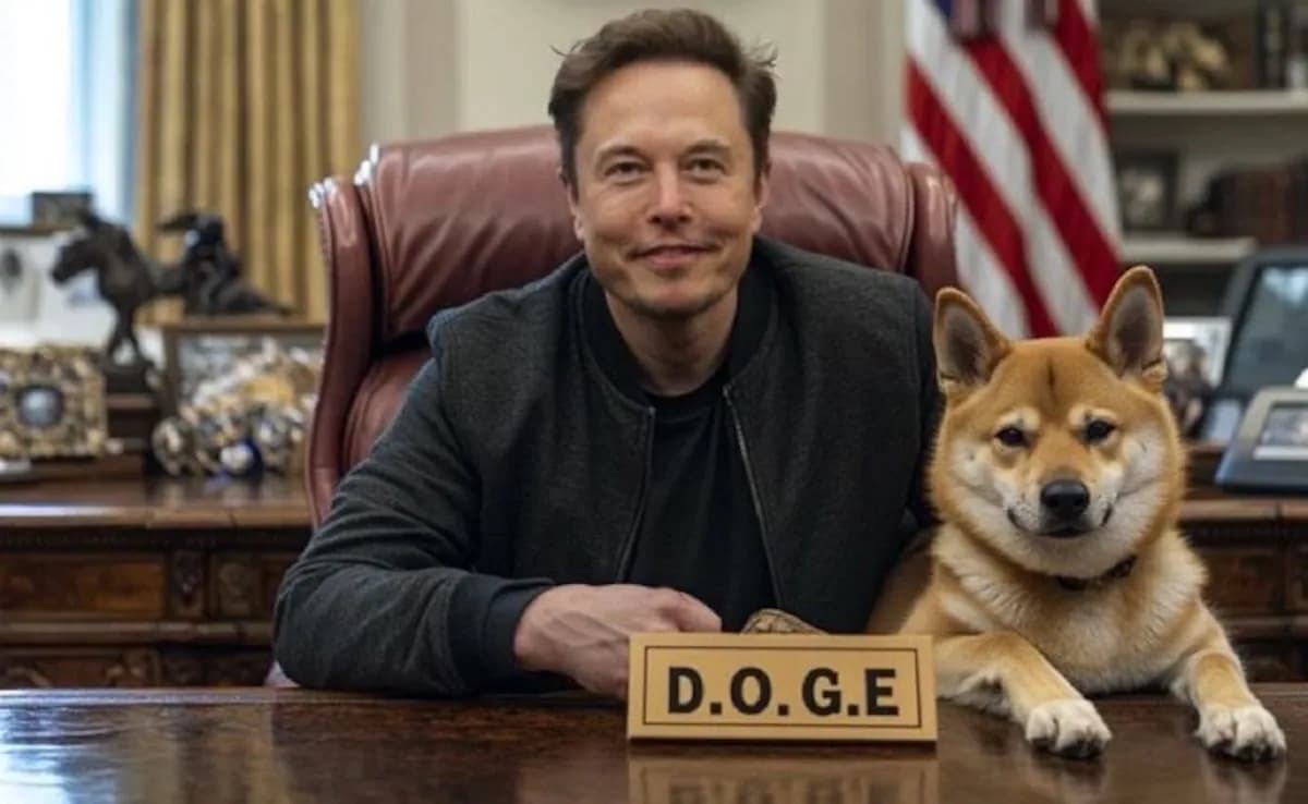 Fact Check: ELON MUSK used DOGE to kill investigations into his businesses