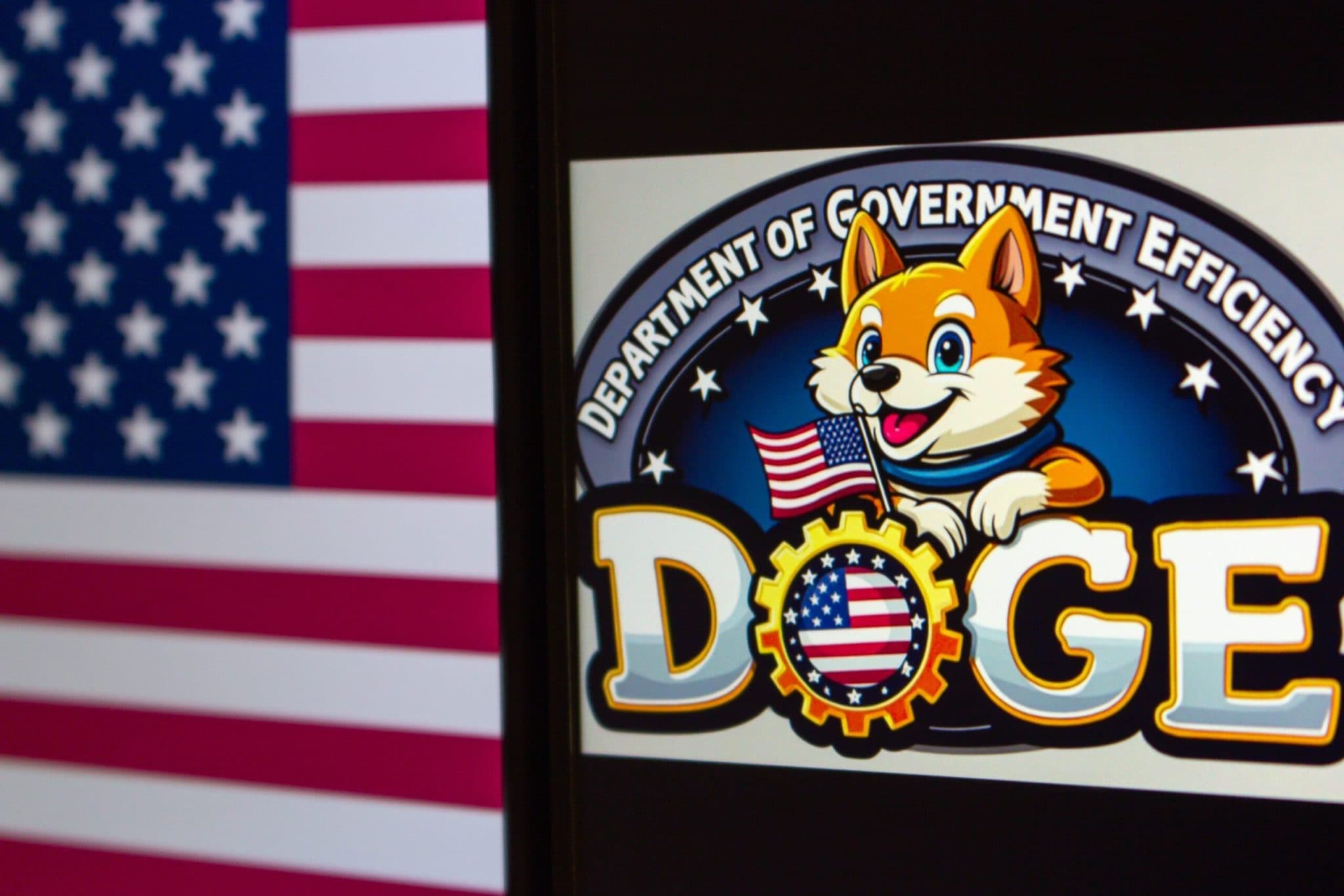 Fact Check: DOGE has found billions in waste, fraud, and abuse