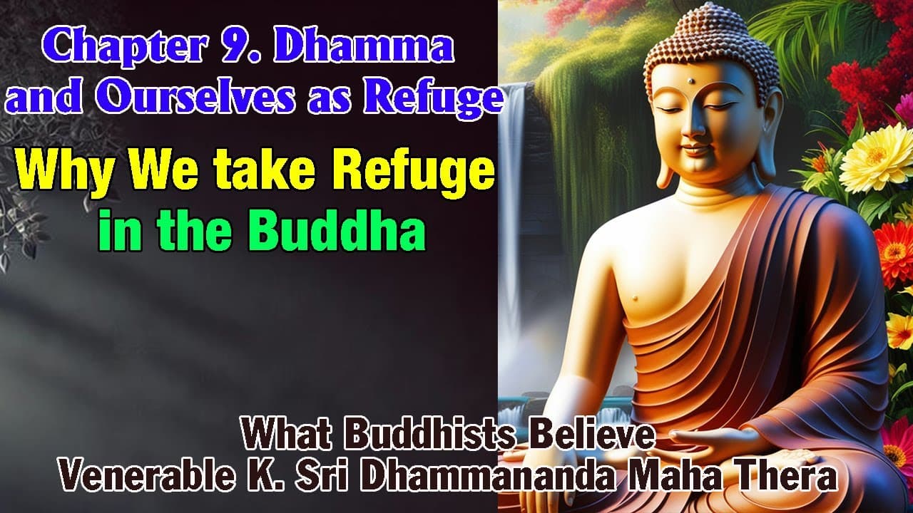 Fact Check: I find refuge in the Buddha. 
