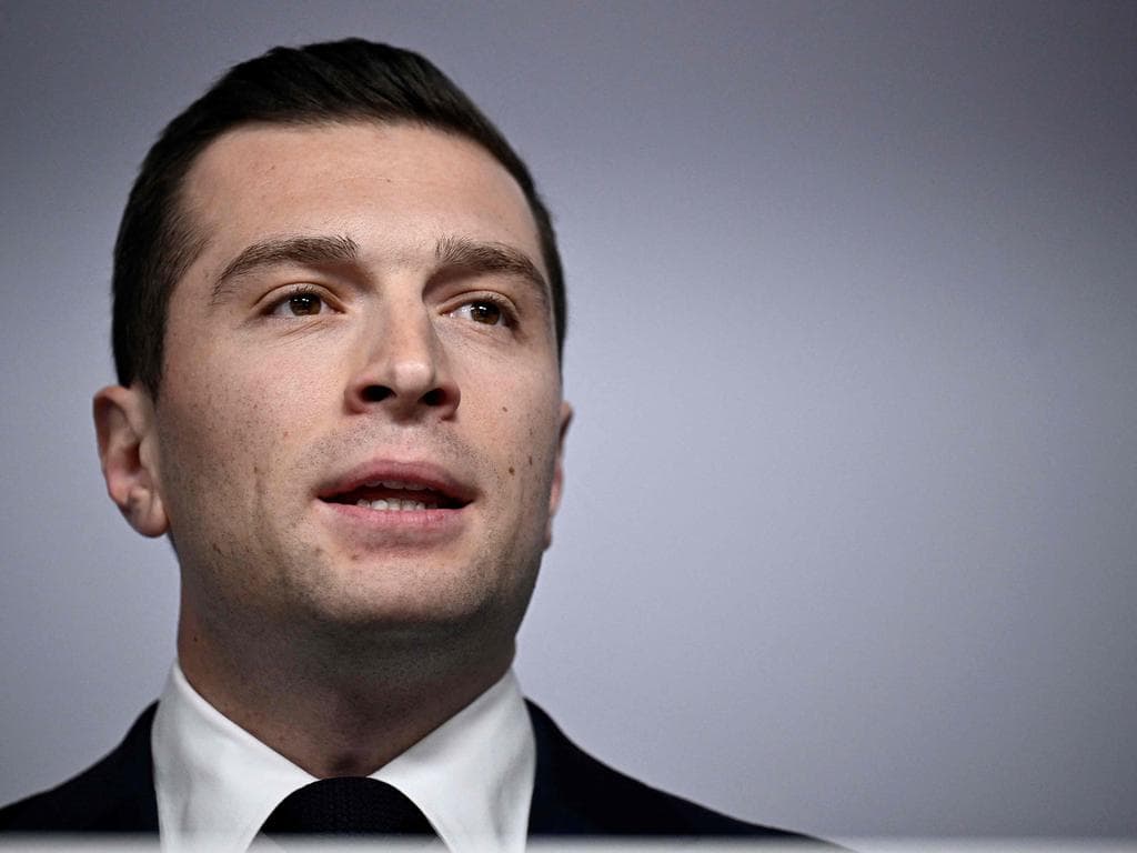 Fact Check: The dutch government collapsed because of the far right pulling out