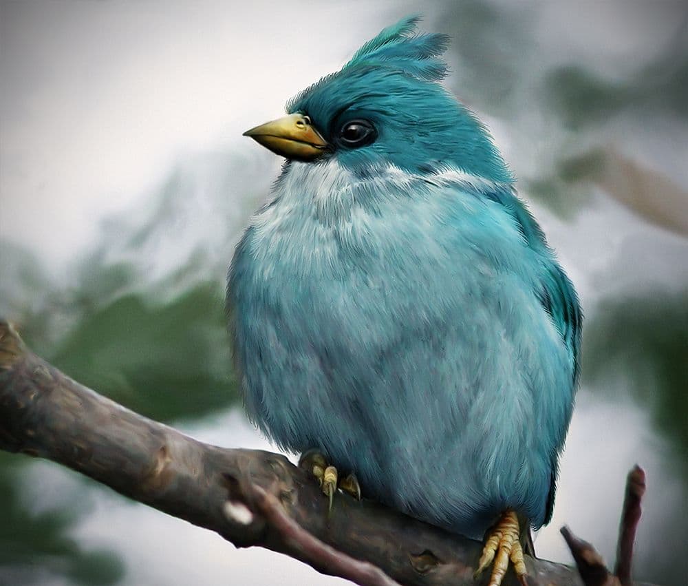Fact Check: Birds are real
