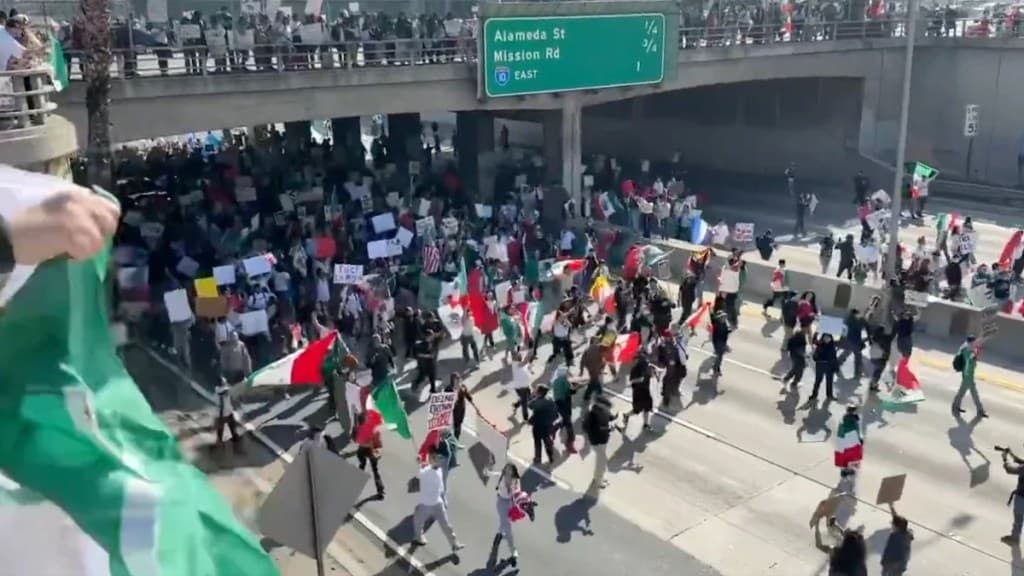 Fact Check: people who protest against ice should be shot