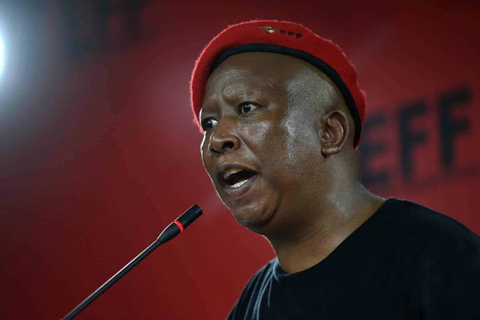 Fact Check: Is malema linked to Rutherford consulting