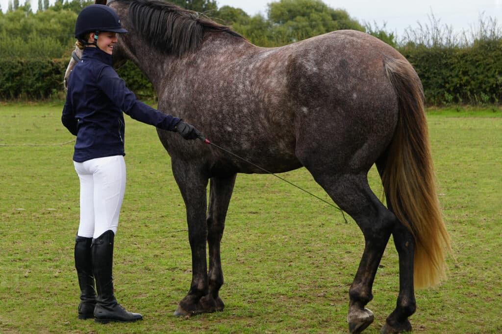 Fact Check: you can hit a horse with a whip once and it will go and stop at the destination