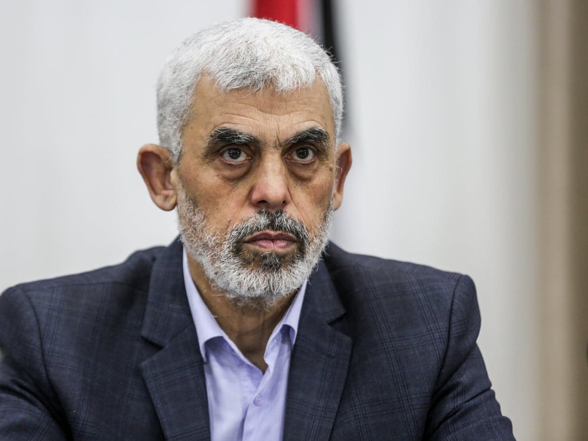 Fact Check: Hamas is leader of da frei werld